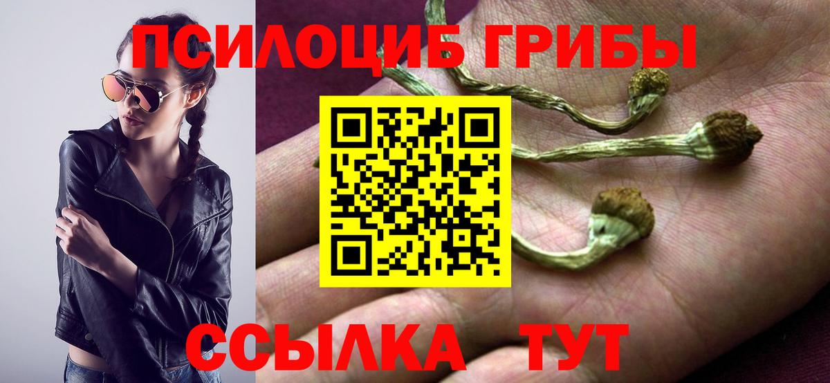 Галлюциногенные грибы мухоморы Ржев